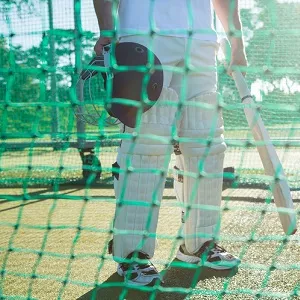M3M International City Gurgaon Amenities - Cricket Pitch